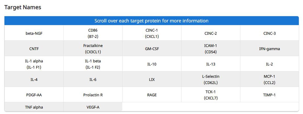 Rat Cytokine Array Q3