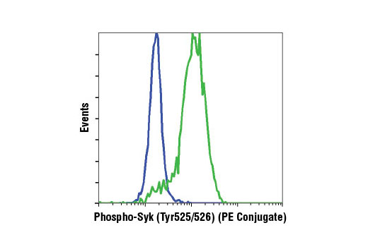 Phospho-Syk (Tyr525/526) (C87C1) Rabbit mAb (PE Conjugate)