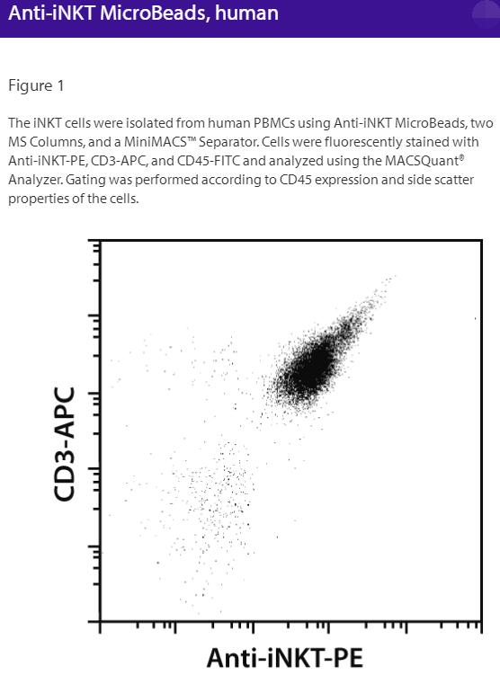 Anti-iNKT-MicroBeads, human