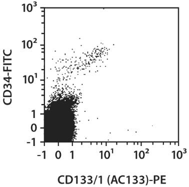 CD133/1-PE, human, AC133, 30 tests