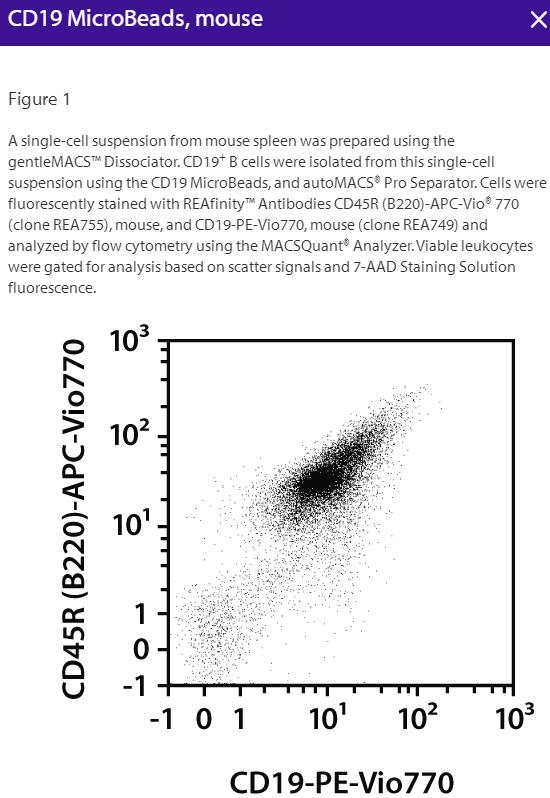 CD19 MicroBeads, mouse