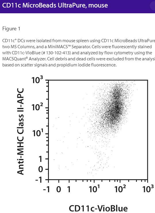 CD11c MicroBeads UltraPure, mouse