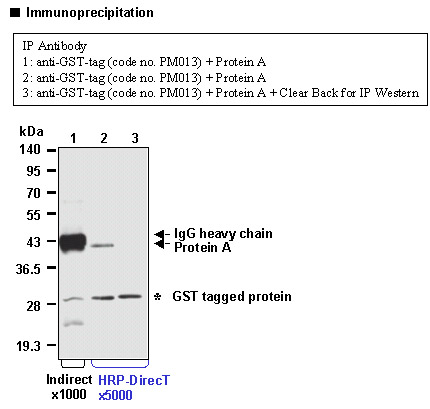Anti-GST-tag pAb-HRP-DirecT