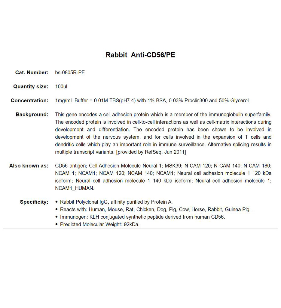 PE标记神经细胞粘附分子1抗体