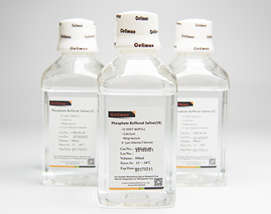 DPBS，1X，不含钙、镁、酚红