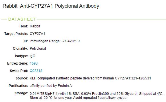 胆固醇27a羟化酶抗体