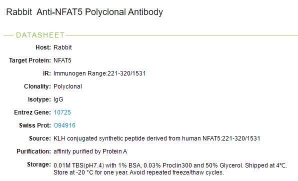 活化T细胞核因子5蛋白抗体