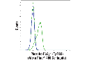 Phospho-PLCγ1 (Tyr783) (D6M9S) Rabbit mAb (Alexa Fluor 488 Conjugate)
