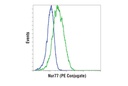 Nur77 (D63C5) XP Rabbit mAb (PE Conjugate)