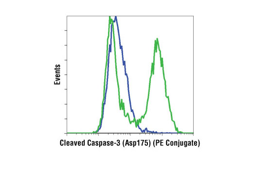Cleaved Caspase-3 (Asp175) (5A1E) Rabbit mAb (PE Conjugate)
