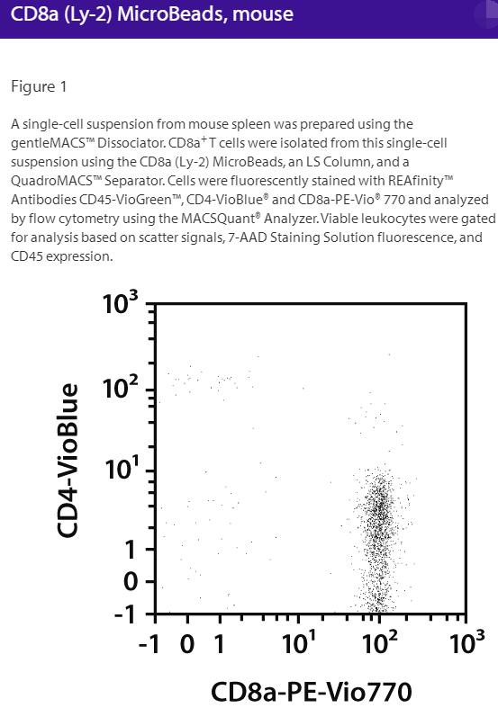 CD8a (Ly-2) MicroBeads, mouse