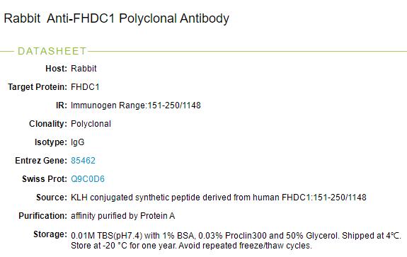 FHDC1蛋白抗体
