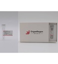Recombinant Human FGF10