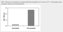Human‚ Mouse and Rat Phosphotyrosine iNOS ELISA