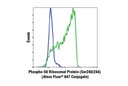 Phospho-S6 Ribosomal Protein (Ser240/244) (D68F8) XP Rabbit mAb (Alexa Fluor 647 Conjugate)