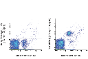 F4/80 (BM8.1) Rat mAb (APC-Cy7 Conjugate)